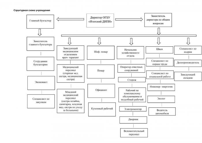 Структурная схема учреждения